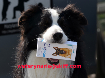  Weterynarium - wylecz zwierzęta razem z nami. Dobierzemy leki 