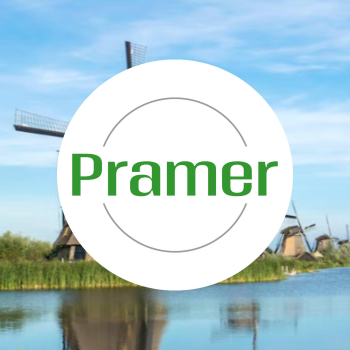 Pracownik produkcji wykładzin (NL, Genemuiden) - praca w Holandii