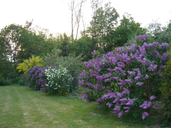 Działki w Tymieniu 5km do morza