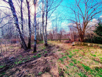 Działka budowlana przy ulicy Modrzewiowej