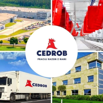 Pracownik Produkcji – rozbiór - Kutno (K/M)