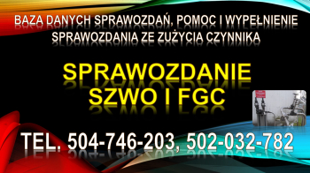 Sprawozdanie SZWO i FGC, tel. 504-746-203, do Bazy Danych Sprawozdań za fgazy
