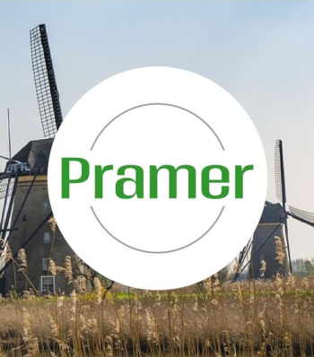 Order-picker | magazynier w LIDL (wysoka stawka)