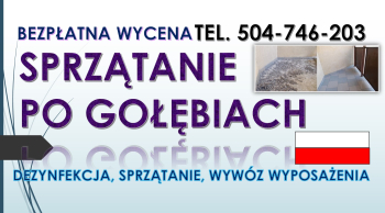 Czyszczenie z odchodów gołębich, cena, te. 504-746-203. Wrocław, sprzątanie balkonu, strychu.  Sprzątanie po gołębiach,