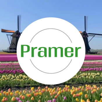 Pracownik produkcji wykładzin - atrakcyjne wypłaty - praca w Holandii