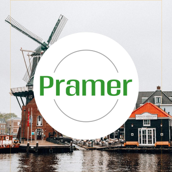 Pracownik produkcji mięsa (wysokie tygodniówki)