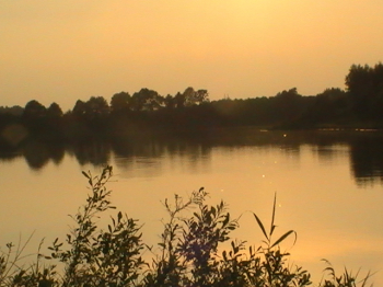 Pomagamy samotnym od 23 lat!