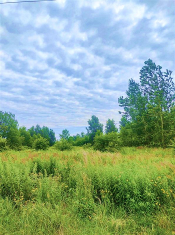 Działka budowlana 1189 m2 w cichej i spokojnej części Koszalina przy ulicy Działkowej