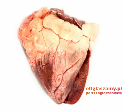 Hurtowe ilości SERCE WOŁOWE kat. III UPPZ
