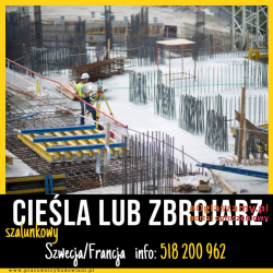 Zbrojarz poszukiwany do Francji