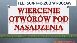 Wykopanie dołów pod tuje, Wrocław, tel. 504-746-203. Posadzenie, nasadzenia, cennik
