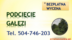 Przycięcie drzew, gałęzi, tel 504-746-203, podcięcie drzewa, Wrocław  Wycinka drzew, cięcie, przycięcie gałęzi