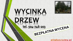 Wycięcie drzewa na cmentarzu Wrocław, tel. 504-746-203, cena.  Usługi na cmentarzu we Wrocławiu, tel. 504-746-203. Oferujemy podcięcie gałęzi, usuniec