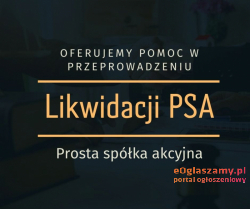 Pomoc w zakresie likwidacji prostej spółki akcyjnej – szybka likwidacja PSA.
