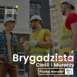 Brygadzista / Prowadzący Murarzy bądź Cieśli – ze znajomością języka niemieckiego.