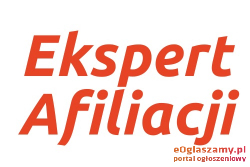 ŁATWA Dodatkowa / Praca Zdalna | w DOMU | Przez Internet |