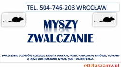 Likwidacja i odławianie myszy, tel. 504-746-203, Wrocław. Cennik zwalczanie myszy
