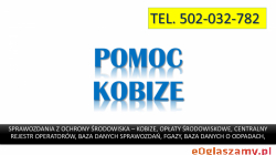 Szkolenie z raportu Kobize, tel. 502-032-782, z wprowadzania raportu do Krajowej bazy o emisjach