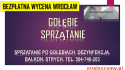Ile kosztuje sprzątanie po gołębiach tel. 504-746-203, we Wrocławiu ? Balkonu i strychu