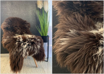 Naturalna holenderska skóra owcza i Texel