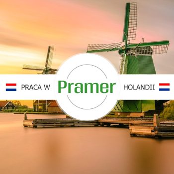 Pracownik magazynu - order picker - praca w Holandii