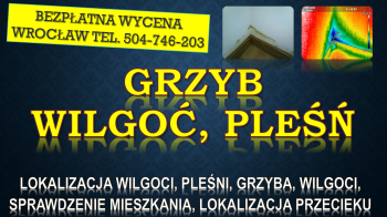 Odgrzybianie mieszkania, cena, tel. 504-746-203. Wrocław. Termowizja wilgoci