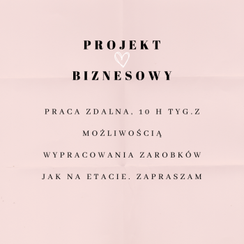 Projekt rozwojowo zarobkowy 