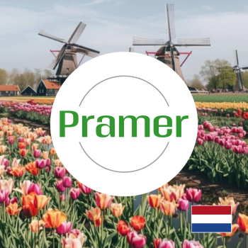 Magazynier + order-picker - otwarte wakaty - praca w Holandii