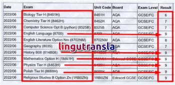 Effective Online Tutoring and Digital Marketing in English and Polish