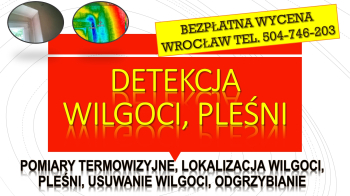 Wykrycie pleśni, tel. 504-746-203. Wrocław, wykrywanie, pleśń, lokalizacja, cennik. Lokalizacja kamerą termowizyjną,   likwidacja i usuwanie pleśni,  