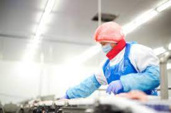 PRACOWNIKPRODUKCJI - KUTNO