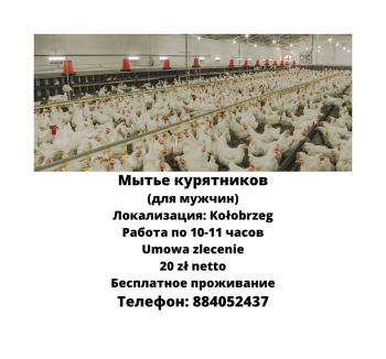 Мытье курятников