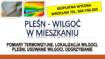 Wykrycie grzyba w mieszkaniu, tel. 504-746-203, Wrocław, lokalizacja pleśni i wilgoci