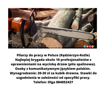 PILARZY DO PRACY W POLSCE