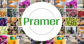 Operator wózka widłowego heftruck - wysokie wynagrodzenie - praca w Holandii