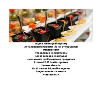 Лидер линии (кейтеринг)